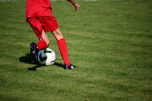 kaiyun网址-职业俱乐部推动退役球员培训转型教练岗位，职业选手退役当教练